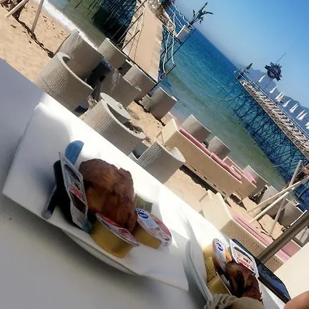 Suquet Center - 100m From & 10min Palace *
