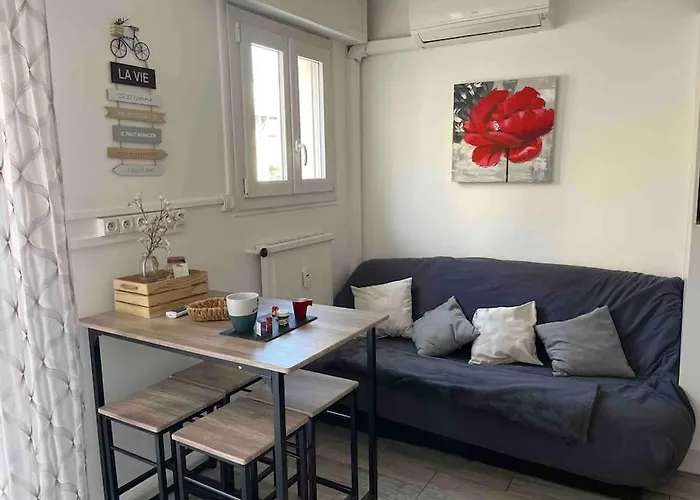 Suquet Center - 100m From & 10min Palace Cannes